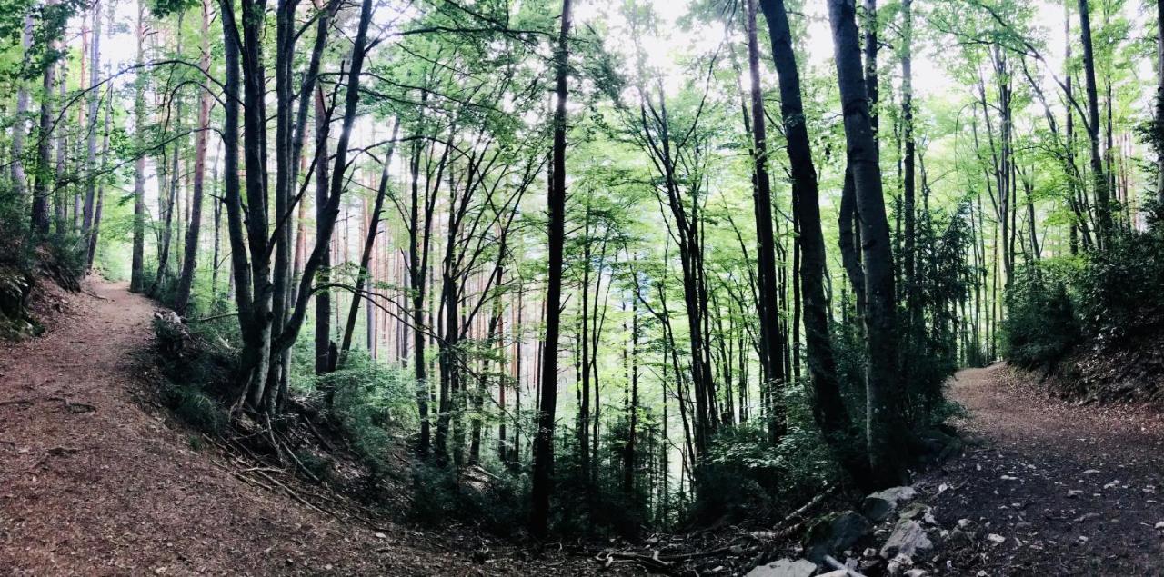 El Refugio De La Ardilla, Apartamento Canfranc-Estacion エクステリア 写真