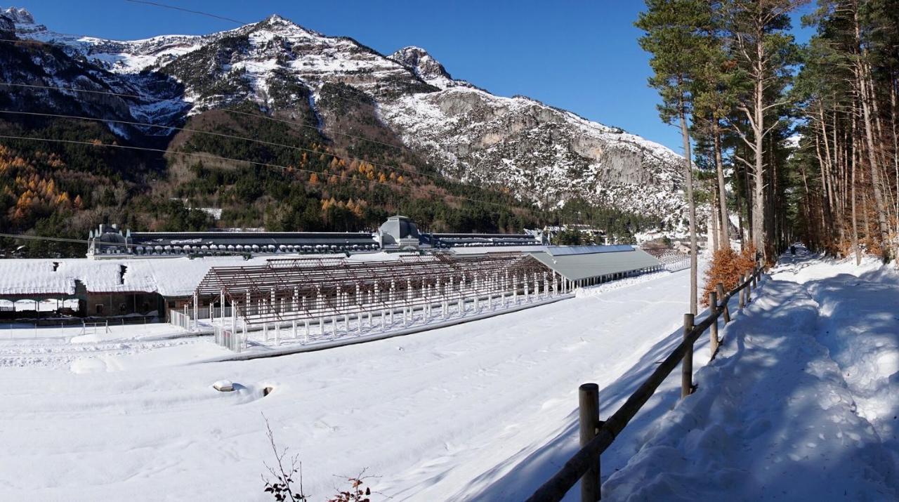 El Refugio De La Ardilla, Apartamento Canfranc-Estacion エクステリア 写真