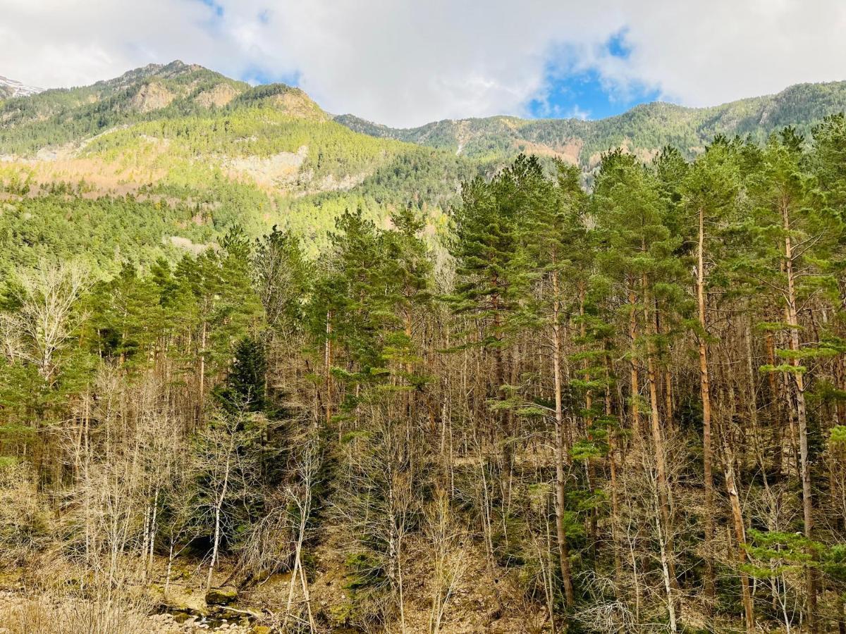 El Refugio De La Ardilla, Apartamento Canfranc-Estacion エクステリア 写真